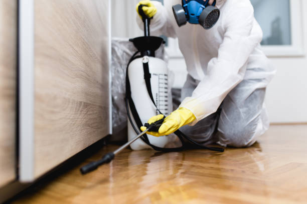 Best Pest Prevention Services  in Lexington, TN