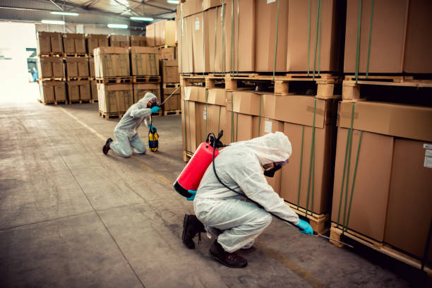 Best Local Pest Control Services  in Lexington, TN