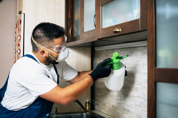 Best Pest Control Near Me  in Lexington, TN