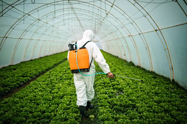 Best Best Pest Control Companies  in Lexington, TN