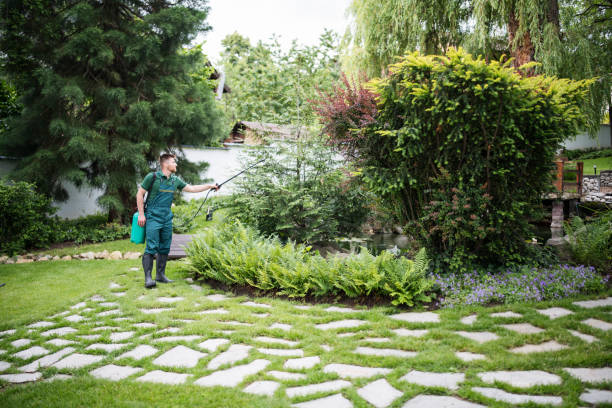 Wasp Removal Services in Lexington, TN