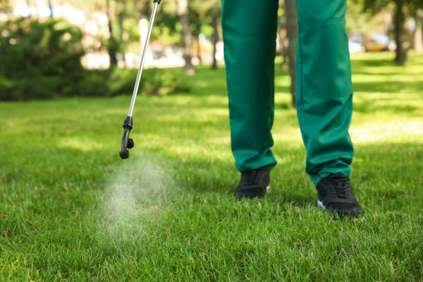 Best Commercial Pest Control Services  in Lexington, TN