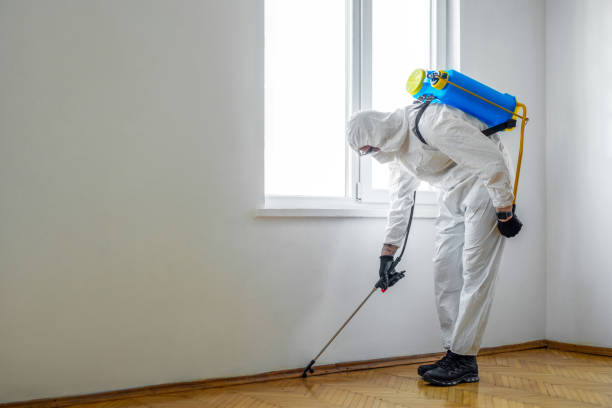 Best Affordable Pest Control Services  in Lexington, TN