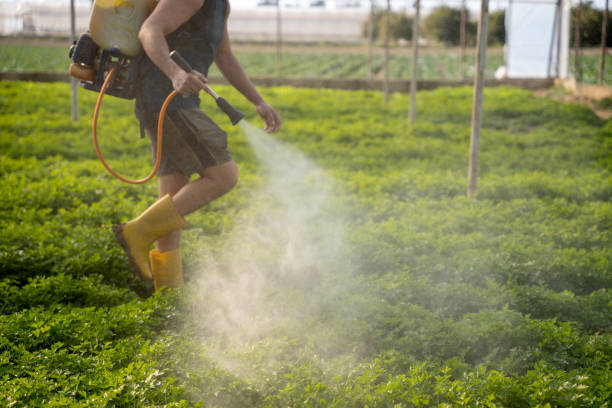 Best Affordable Pest Control Services  in Lexington, TN