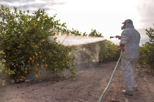 Best Pest Control for Businesses  in Lexington, TN