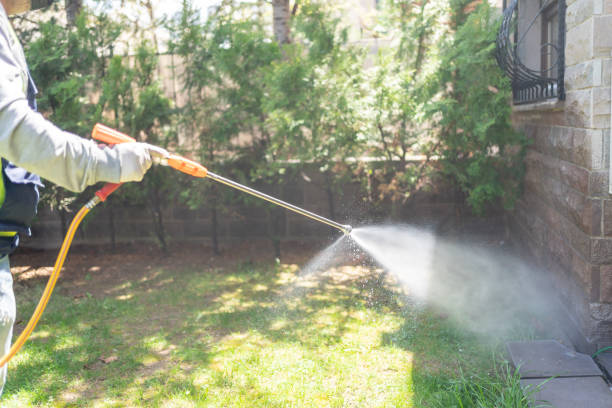 Best Emergency Pest Control  in Lexington, TN