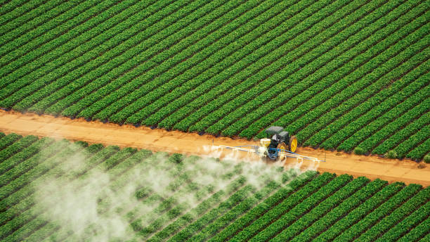 Professional Pest Control in Lexington, TN