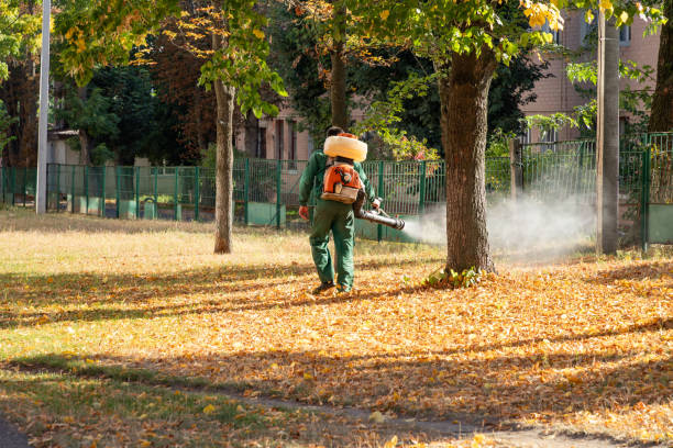 Best Wasp Removal Services  in Lexington, TN