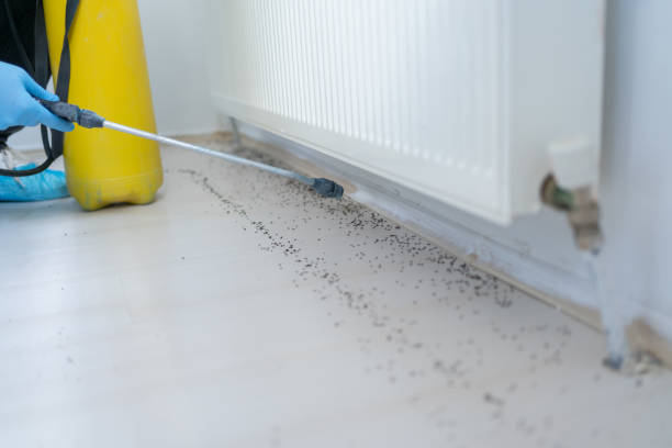 Best Pest Control for Restaurants  in Lexington, TN