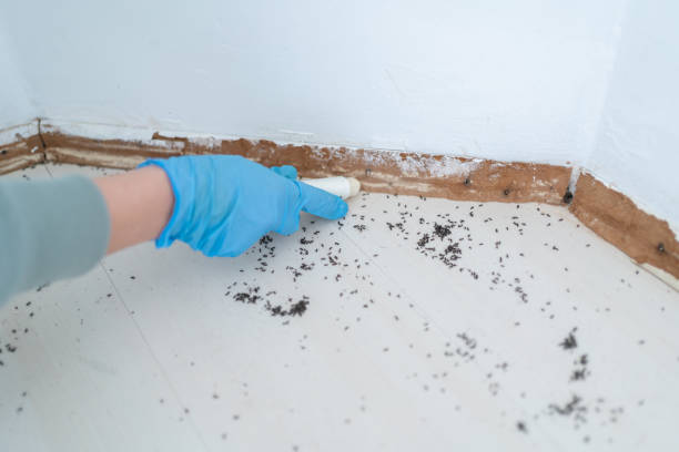 Pest Control for Restaurants in Lexington, TN